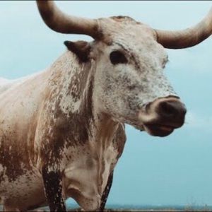 Meet your Posher, Mar